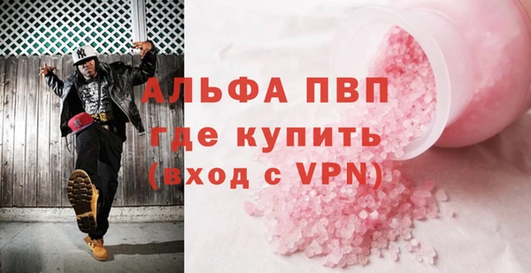 ECSTASY Богородицк