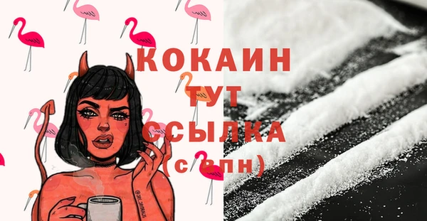 ECSTASY Богородицк