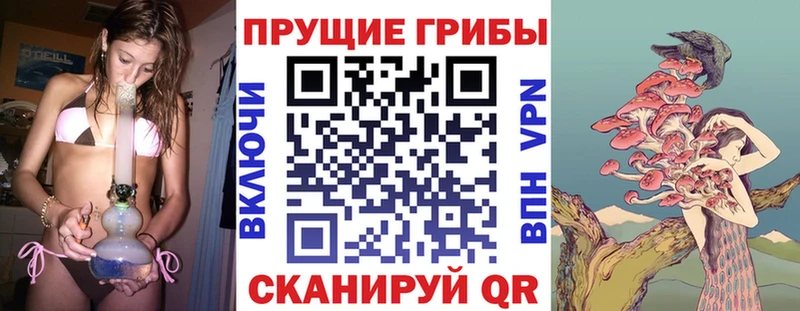 Псилоцибиновые грибы MAGIC MUSHROOMS  Киржач 