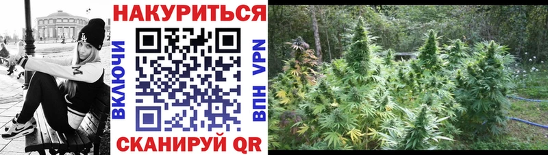 цены наркотик  Киржач  Бошки Шишки планчик 